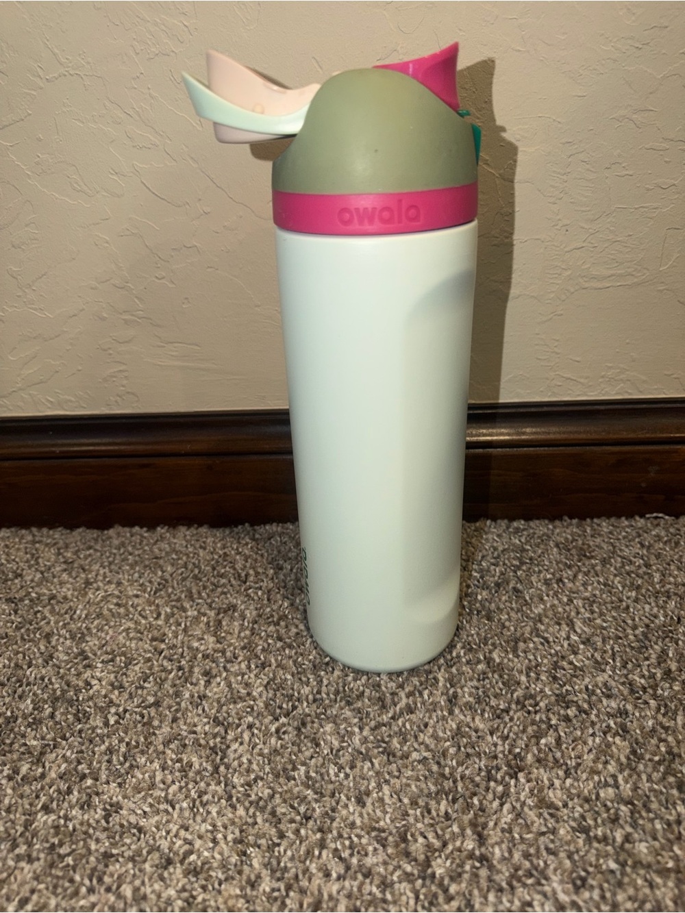 Owala FreeSip 24 oz Stainless Steel Insulated Bottle Mint And Pink